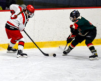 ice hockey girls Warwick COOP vs Smithfield COOP